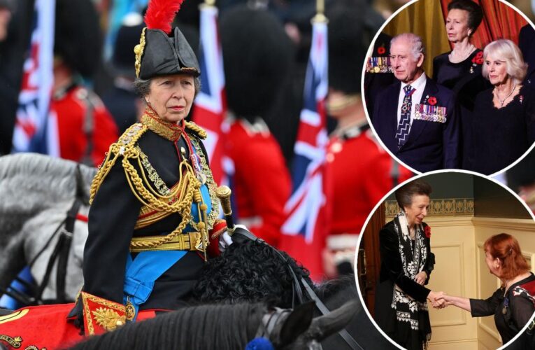 Princess Anne revealed as the hardest working member of the royal family