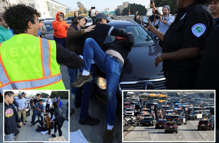 Angry drivers try to move Jewish protesters who shut down LA freeway during rush hour