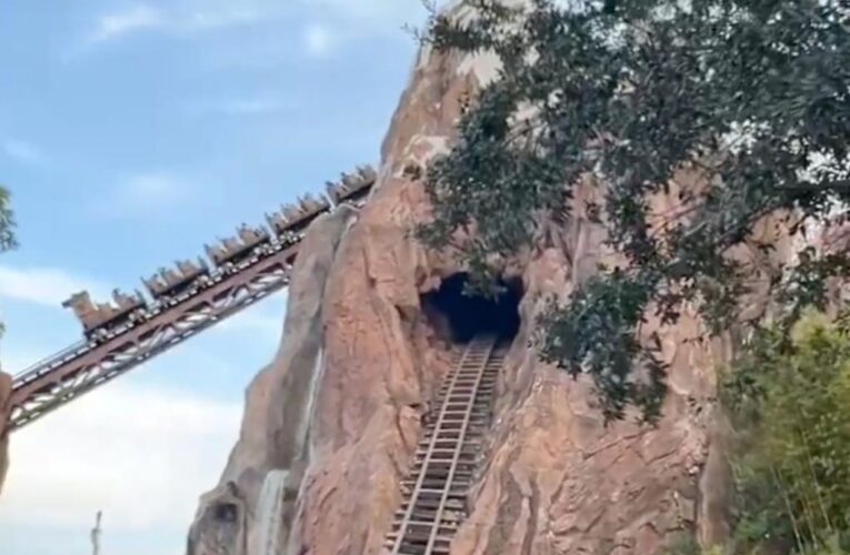 Disney World guests stuck on steep rollercoaster incline for 30 minutes