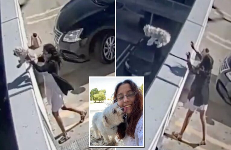 Woman throws dog off the top of a Westfield car park in Perth