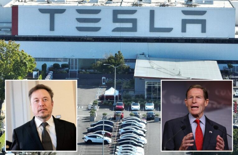 Senators demand Tesla recalls over defective parts, slam Elon Musk