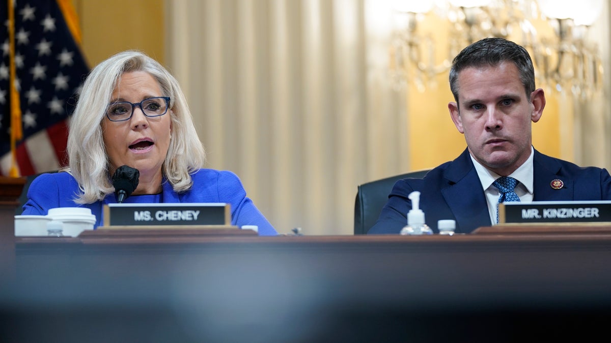 Cheney and Kinzinger January 6 Committee