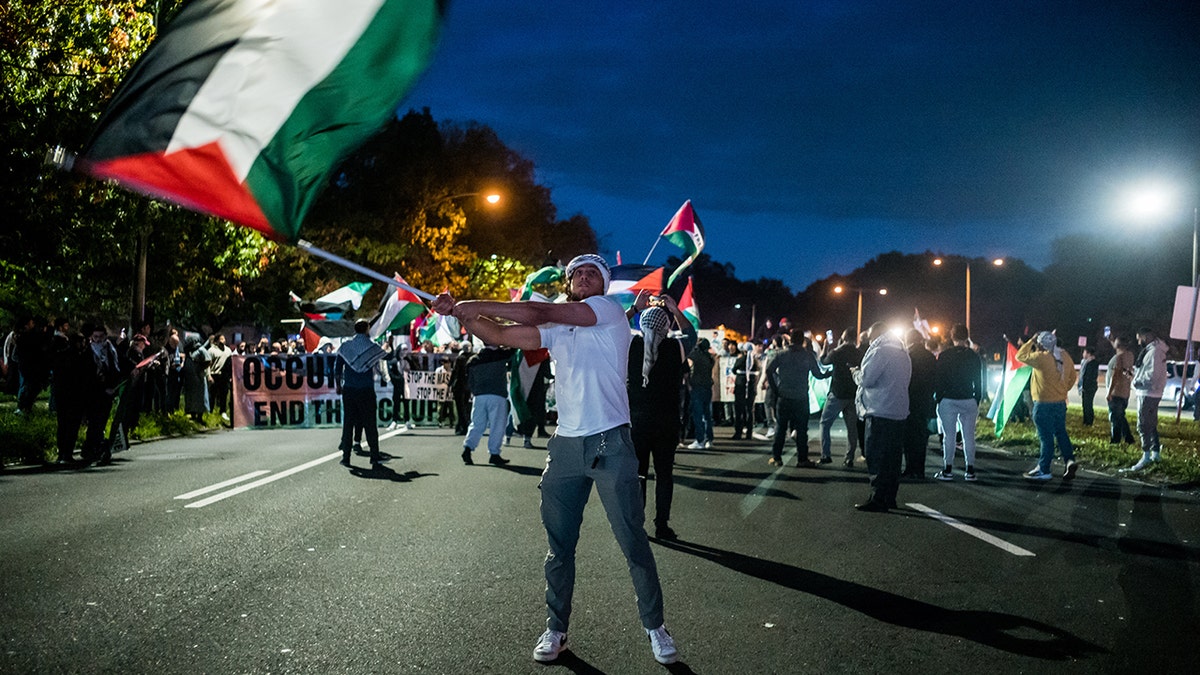 Protesters waving flags