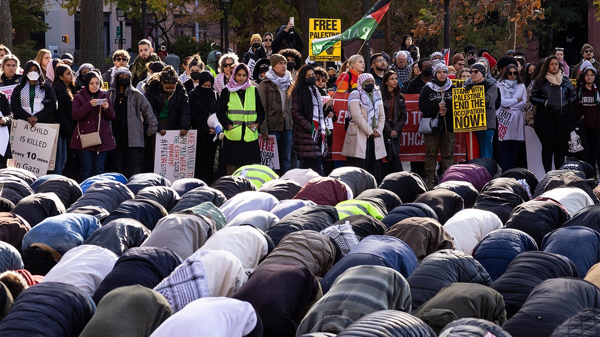 New York pro-Palestinian protest