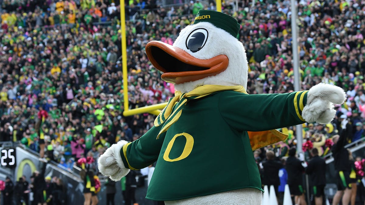 The Oregon Ducks mascot at a game