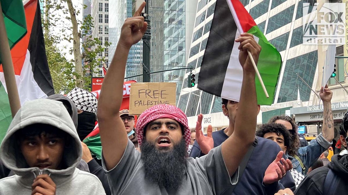 Pro-Palestinian rally