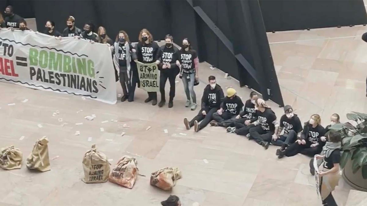 Protestors arrested at Senate Office Building