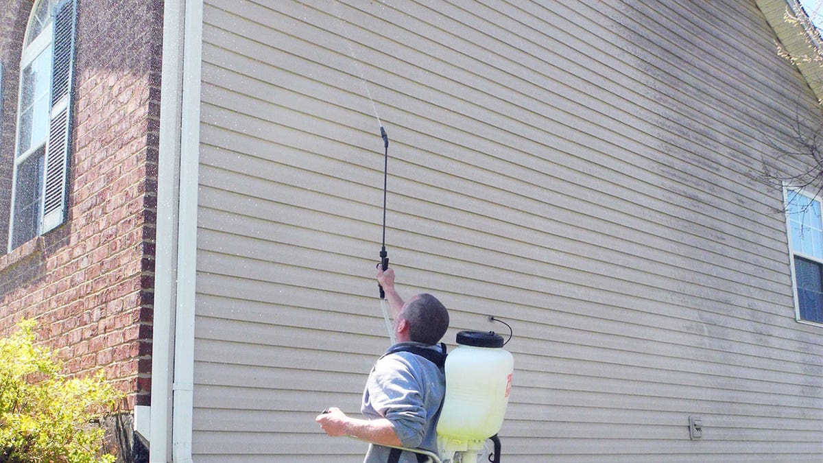 man spraying siding blighted with whiskey fungus