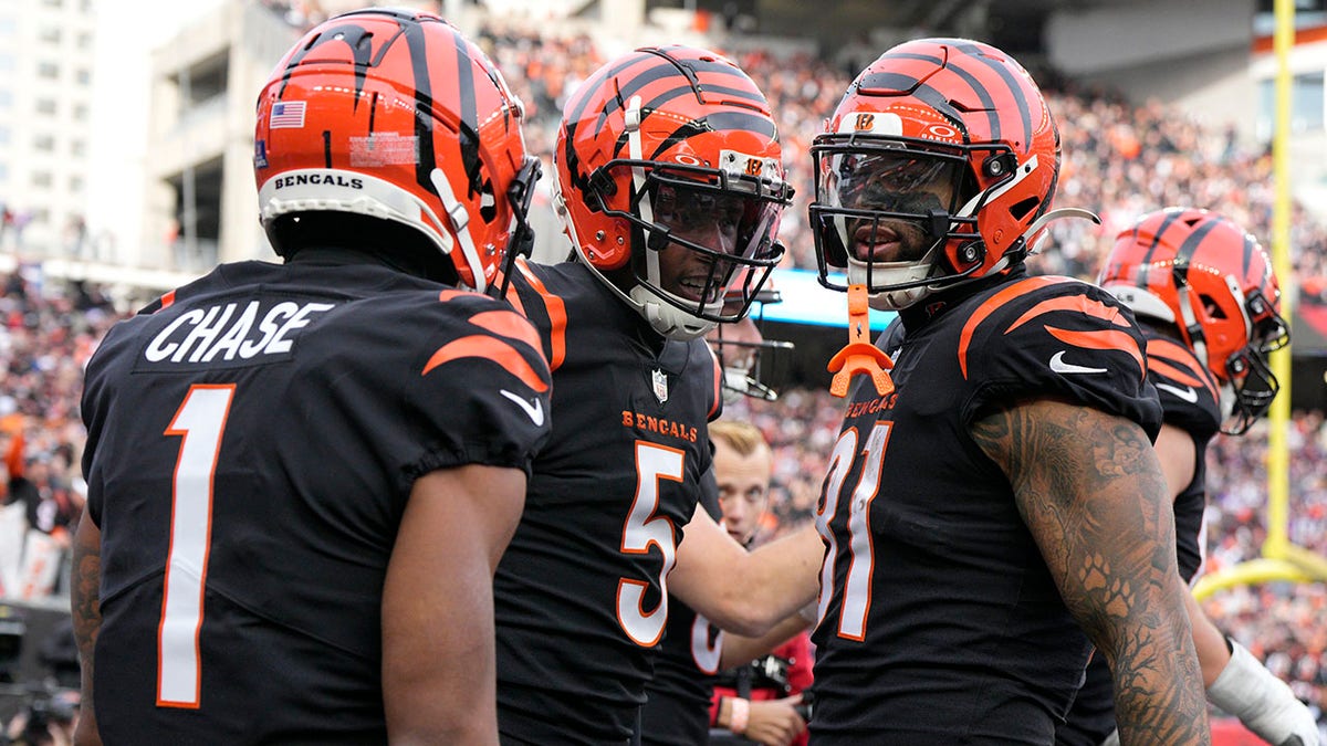 Bengals receivers