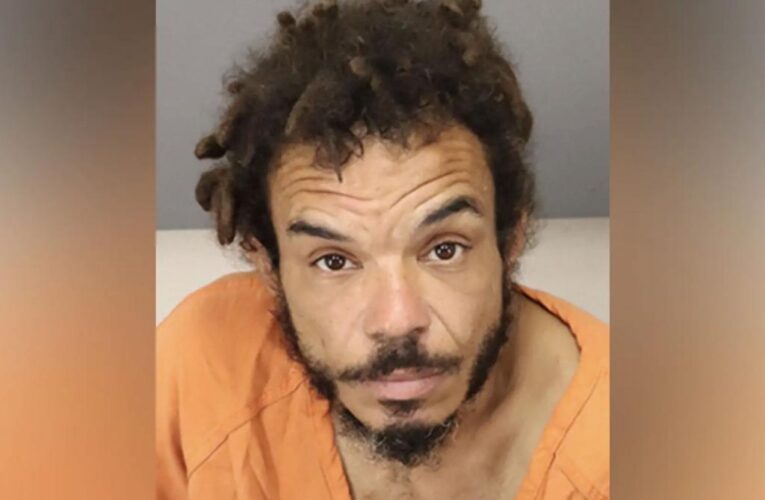 Florida man carrying sex toy tried to break into woman’s home: cops