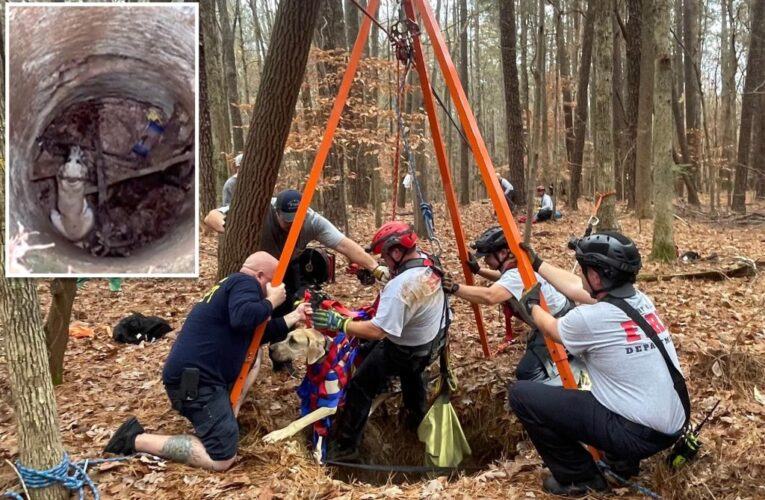 Great Dane puppy rescued after plunging 50 feet into old well in North Carolina woods