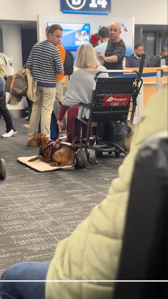The couple had a meltdown while waiting to board their flight, and one man screamed at a woman in a wheelchair, video shows.