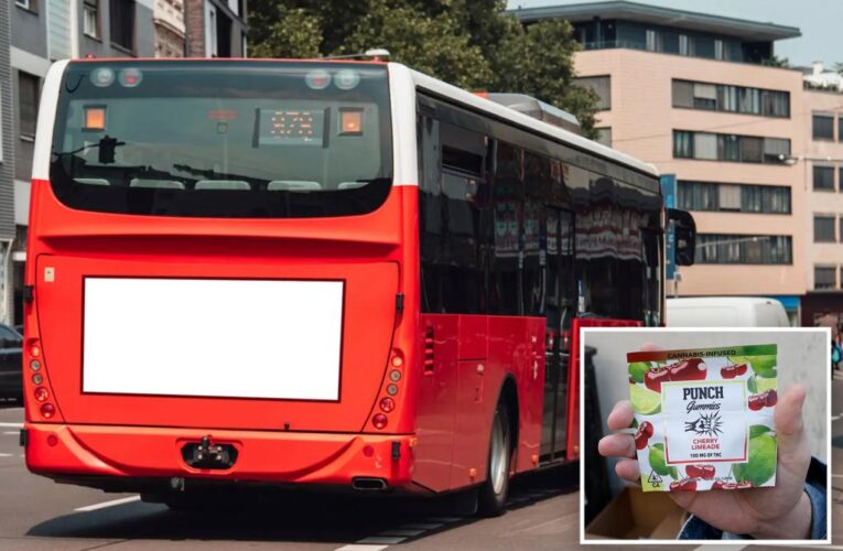 Bus driver who passed out behind the wheel from weed gummies gets probation