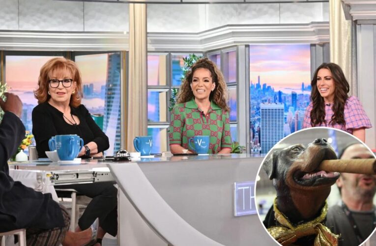 ‘The View’ roasted by ‘Triumph The Insult Comic Dog’ as hostile to other women, conservatives