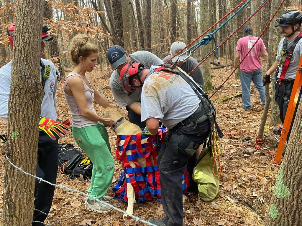  Janine Haldene hugs her dog as rescuers remove her from a harness