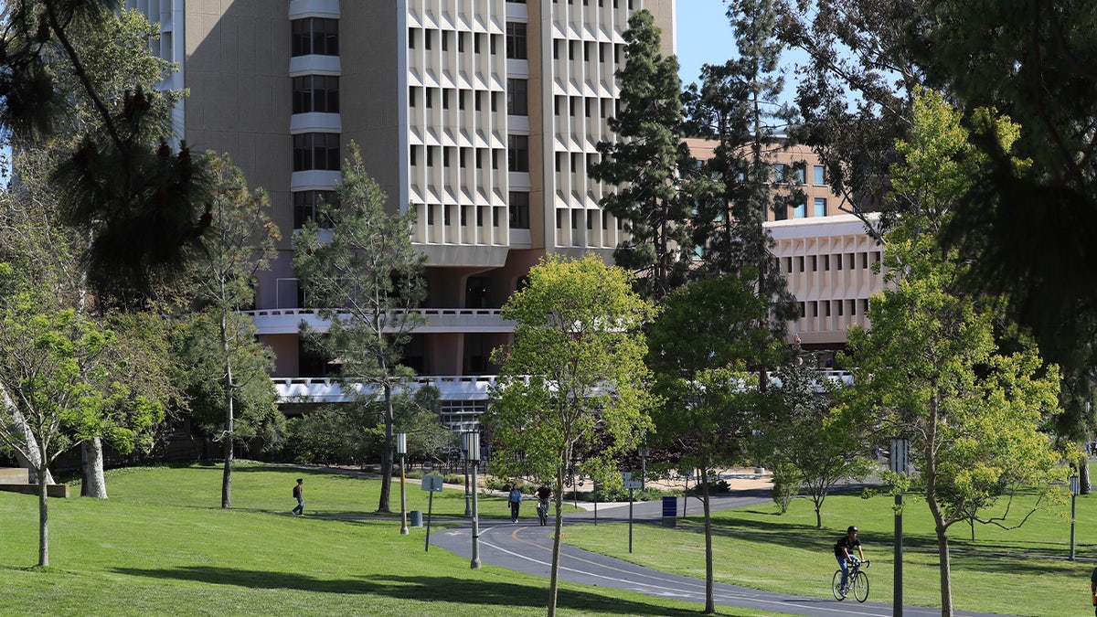 Students and faculty on campus