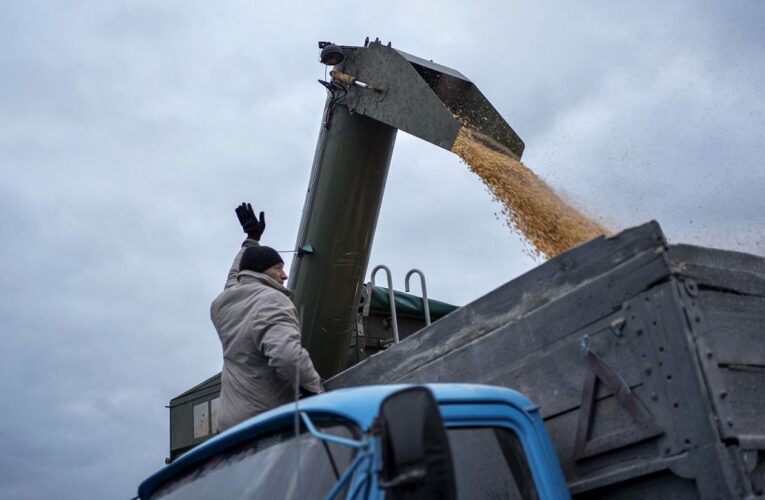 Brussels considers allowing restrictions on Ukrainian grain in case of market ‘disturbances’