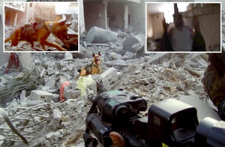 Israeli army canines help put the bite on Hamas terrorists