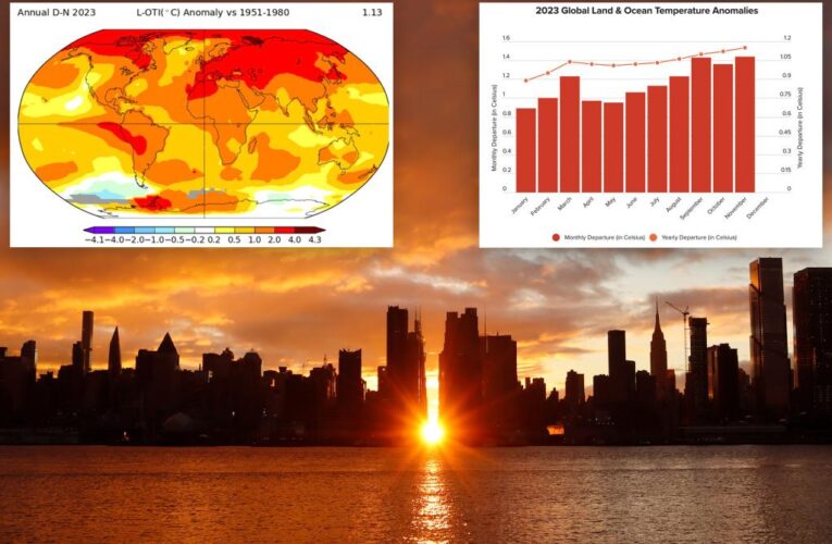 2023 finishes as warmest year on record: experts