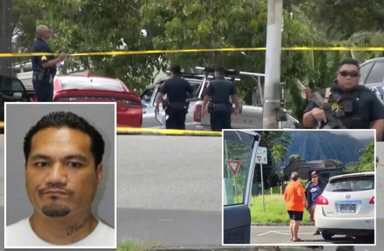 Man killed by police after hours-long manhunt for shooting ex-girlfriend in Hawaii