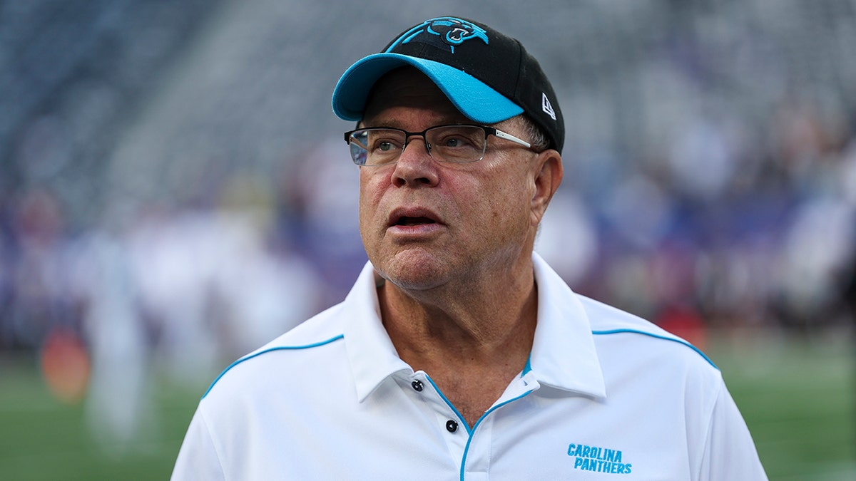 David Tepper looks on field