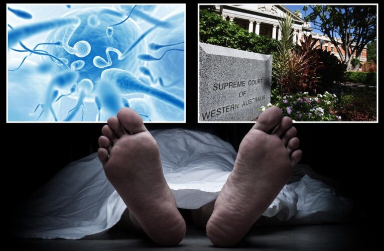 Widow, 62, wins right to extract dead husband’s sperm