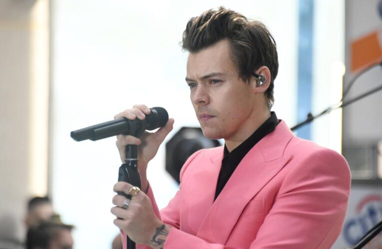 Harry Styles’ accused stalker charged for causing star ‘serious distress’