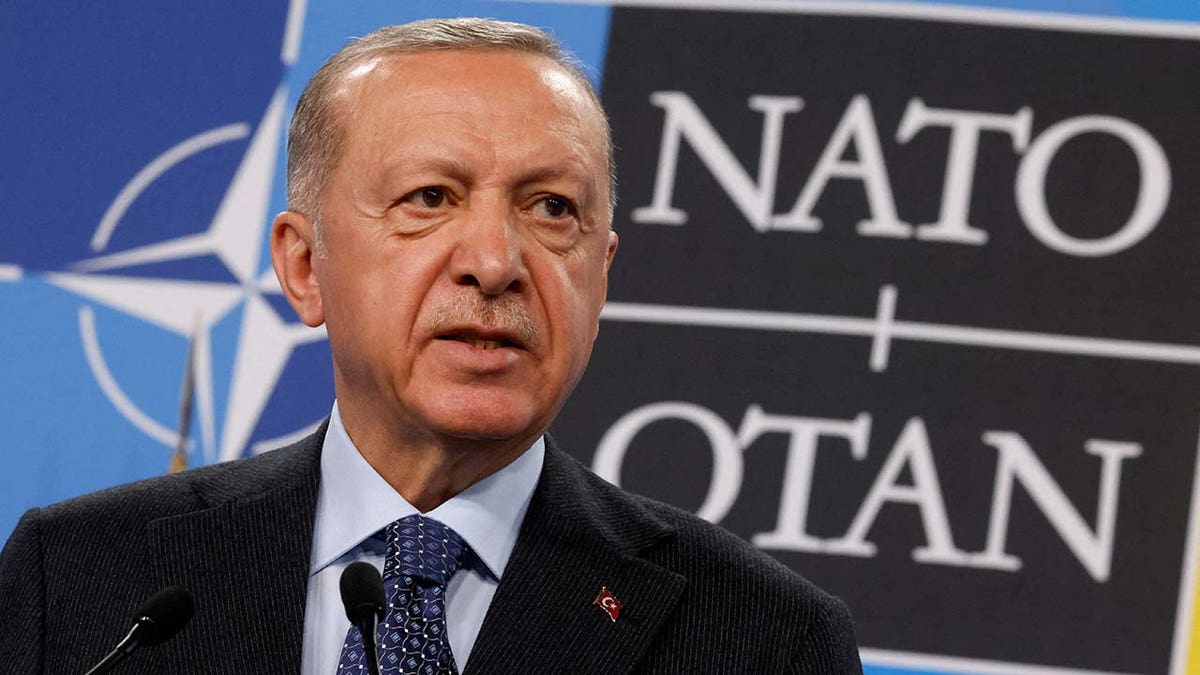 Turkish President Recep Tayyip Erdogan