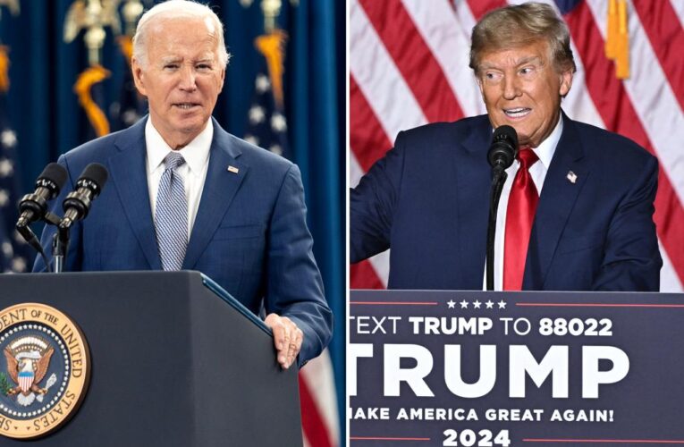 Biden ‘fine’ with Trump on ballot ahead of major Supreme Court decision