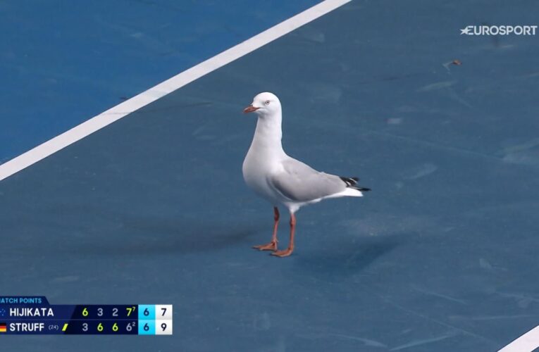 Australian Open: Seagull interrupts match point in final set tie-break as Jan-Lennard Struff downs Rinky Hijikata