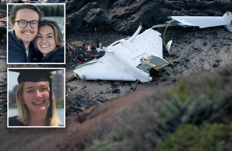 4 dead as kit-built plane crashes, including pilot, fiancee