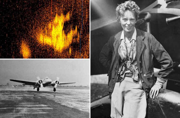 Plane-shaped sonar image may be vital clue in Amelia Earhart mystery