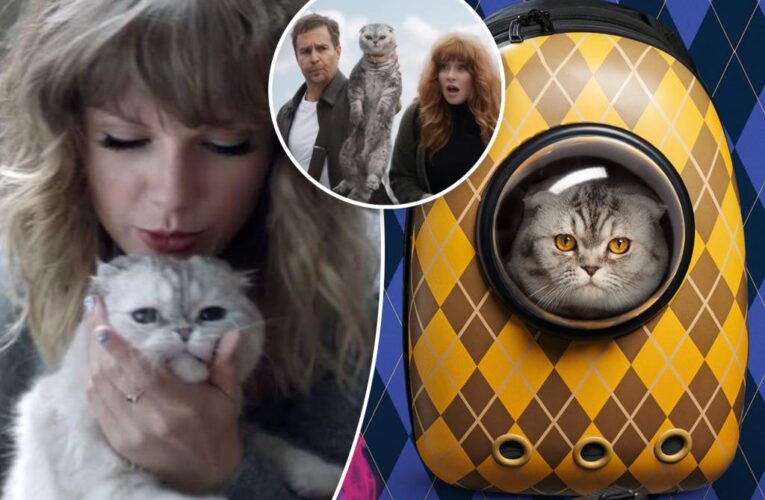 How Taylor Swift’s feline inspired the spy thriller ‘Argylle’