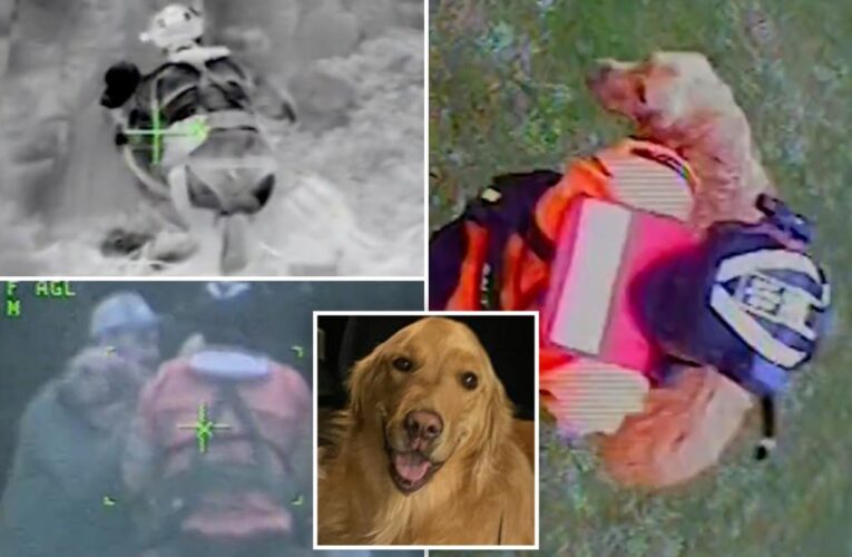 Dramatic video shows Coast Guard rescue Leo the Golden Retriever after plunging over 300-foot Oregon cliff