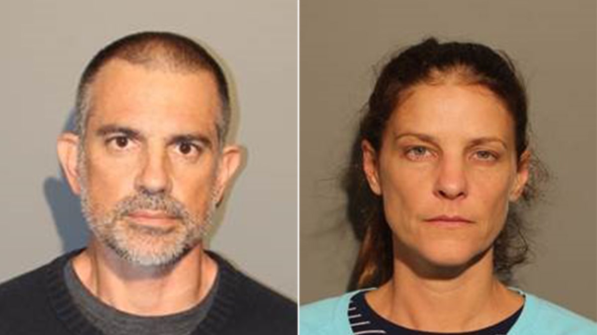 Fotis Dulos, Michelle Troconis mugshots