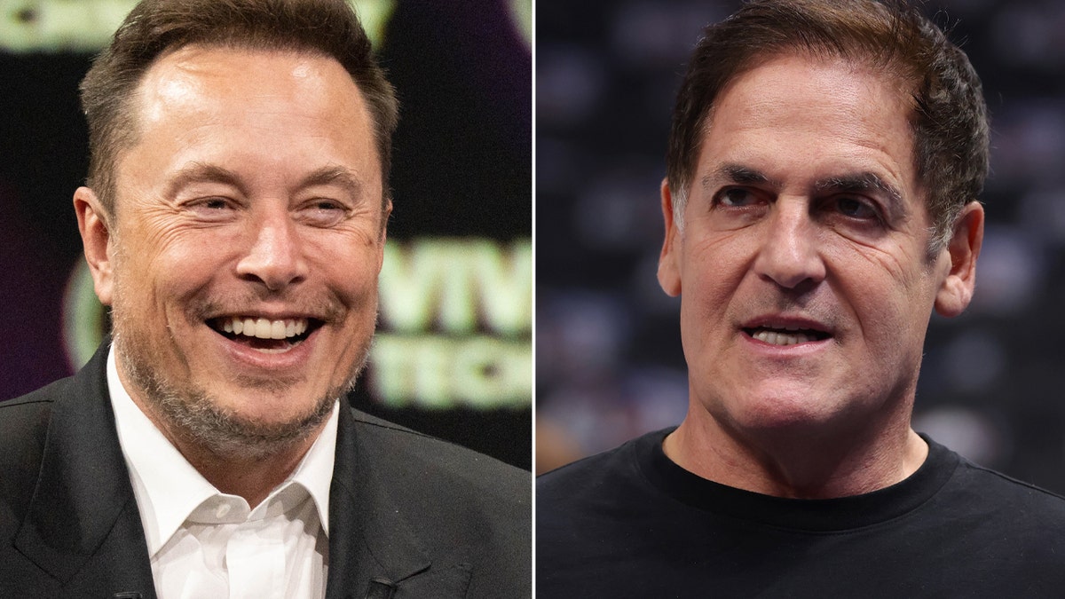 Elon Musk and Mark Cuban