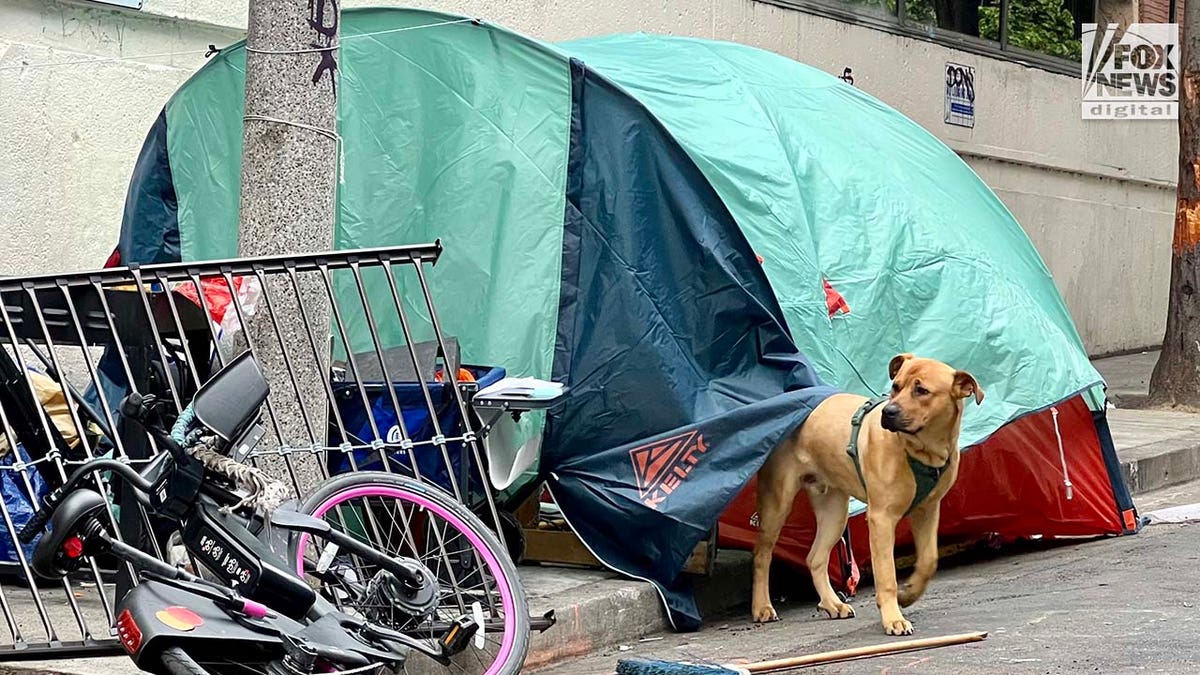 People inhabit encampments on the streets of San Francisco's Mission District.