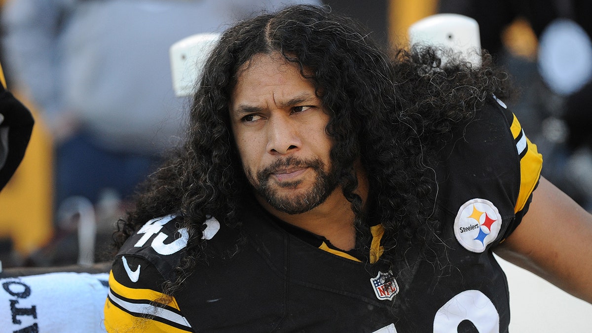 Troy Polamalu vs Bengals