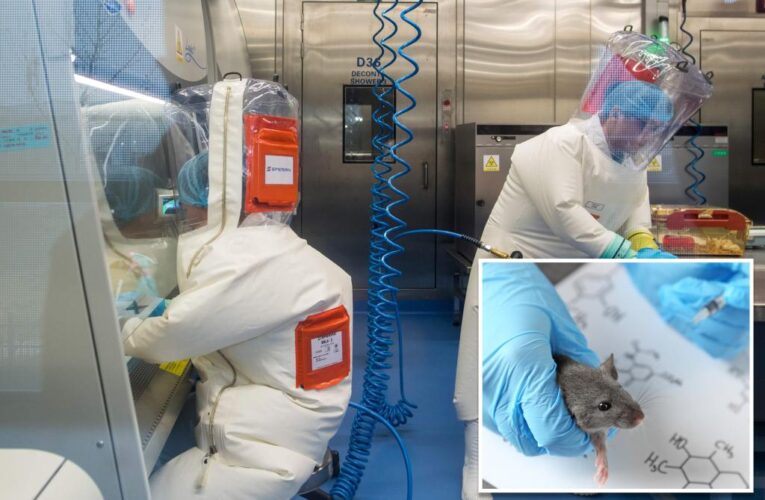 COVID-19 strain kills 100% of infected mice in Chinese lab: Study
