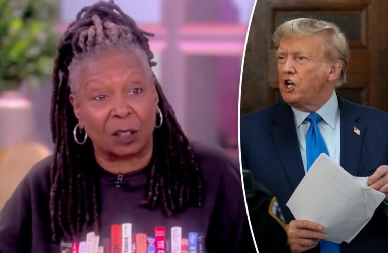 ‘View’ co-host Whoopi Goldberg says Trump would round up and ‘disappear’ journalists, gay people