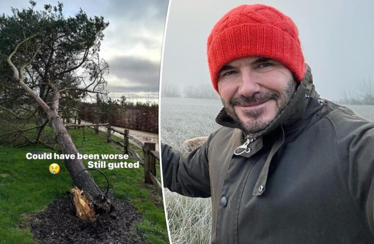 David Beckham reveals Storm Henk damage to UK home