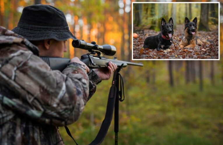 Long Island man shot his two dogs in the head with a rifle, horrific animal cruelty found on property