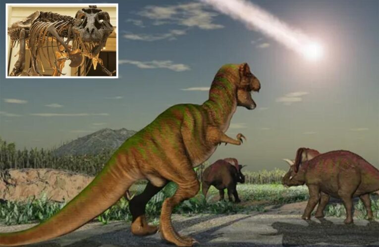 What we thought we knew about T. rex was wrong, researchers say in new study