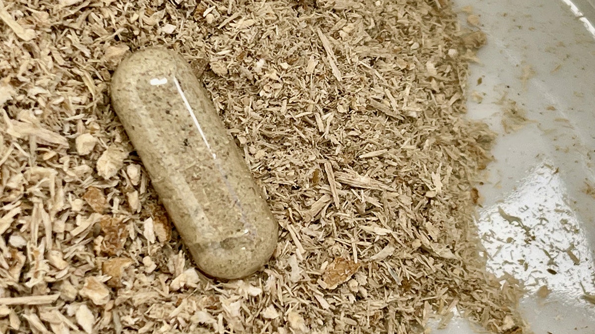 Psilocybin mushrooms capsule