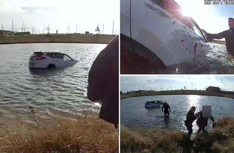 Police rescue family, toddler trapped inside car sinking in Illinois pond