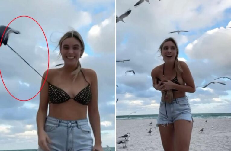 Vlogger Lele Pons loses bikini after seagull caught untying top on camera