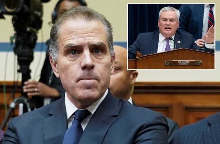 House Oversight Chairman James Comer argues the Bidens were played after Hunter’s cameo
