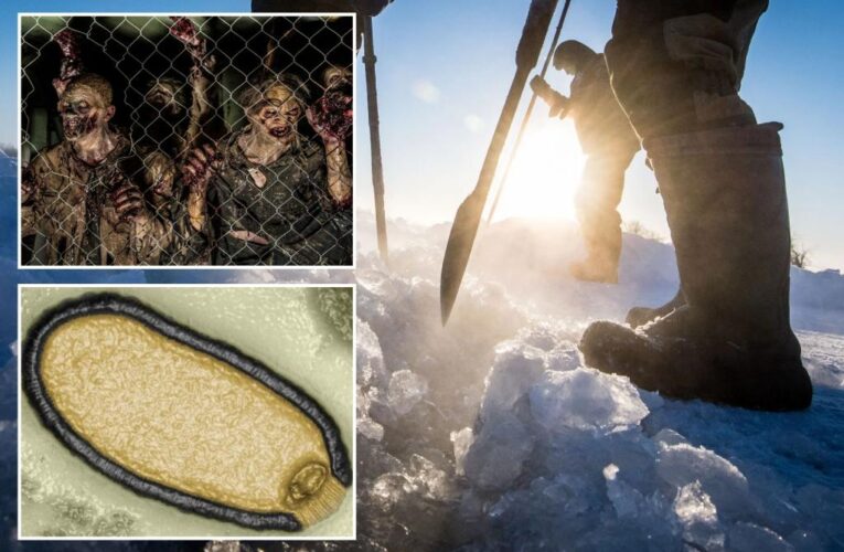 Ancient viruses trapped in Arctic ice could unleash deadly new pandemic: ‘tangible threat’