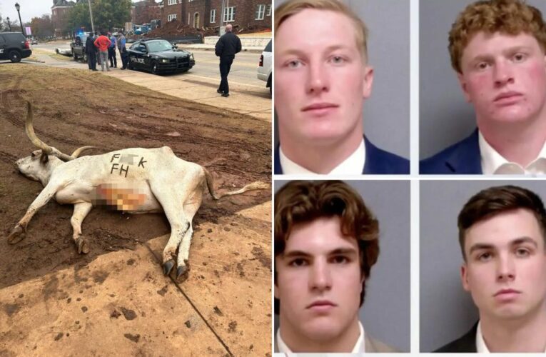 4 Okla. frat boys arrested for leaving dead longhorn outside rival fraternity