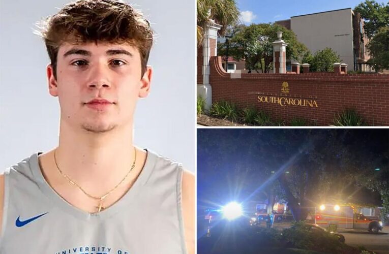 South Carolina college student Nicholas Donofrio who mistakenly tried to enter wrong home 911 calls released